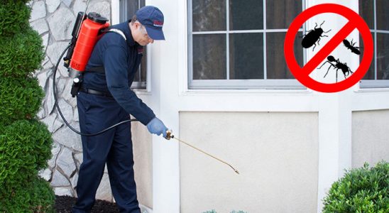 Sungurlu Böcek ve Haşere İlaçlama böcek ilaçlama ve haşere kontrolü — ilaclama-tr.com